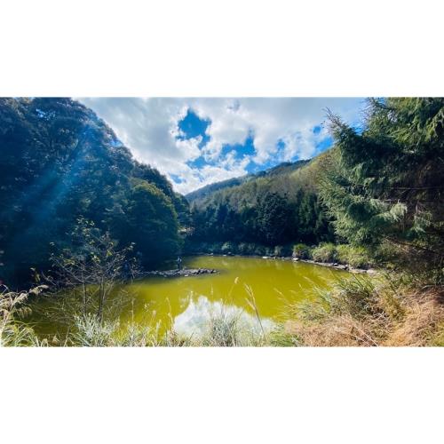 高雄旅遊｜最高折3百｜七股鹽山鹽田.四鯤鯓紅樹林.南橫埡口天池.和逸飯店二日｜大人囝仔｜台中出發_25XGKHHDZ3