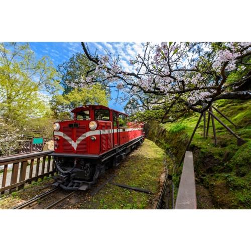 嘉義旅遊｜夜光中的小精靈.夜賞螢火蟲.竹崎公園天空走廊.迷糊步道導覽一日｜中部出發_25TXGCYI11
