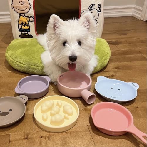 漂亮的小碗@bdbc陶瓷寵物碗#平底鍋#韓國網紅貓餐具狗食盆ins同款