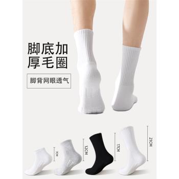 Suxi Socks男士襪子秋冬純棉毛巾襪底加厚運動襪吸汗運動襪籃球襪