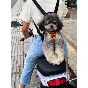外出揹包中小型犬攜帶胸前狗狗