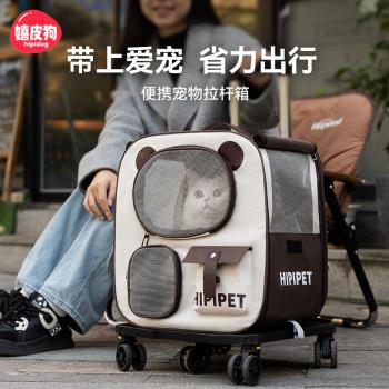 貓包外出便攜大容量寵物拉桿箱多貓行李箱貓箱狗狗揹包外出雙肩包