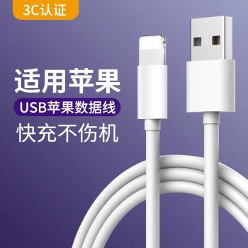 適用蘋果14數據線手機充電線s適用iphone充電線pro快充15/13/12/11/xsmax/xr/8P充電雙C線PD快充USB轉C線加長