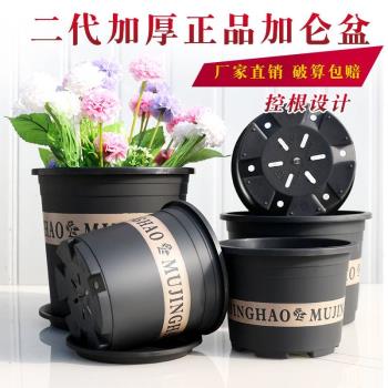 黑色二代加厚塑膠矮胖加侖花盆綠蘿月季多肉大口徑清倉特價加侖盆