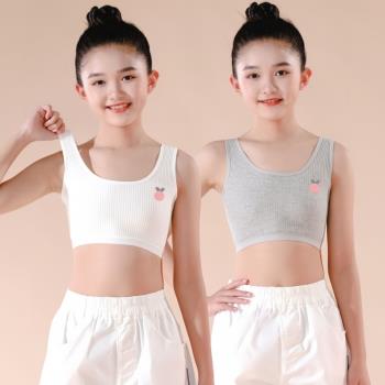8-16歲女童純棉發育期小背心內衣學生抹胸背心式階段無鋼圈固定