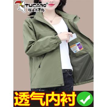 啄木鳥沖鋒衣外套女士春款2025新款秋季防風防水戶外連帽夾克上衣