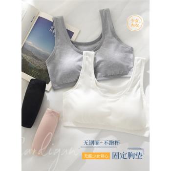 夏純棉聚攏文胸美背無鋼圈內衣