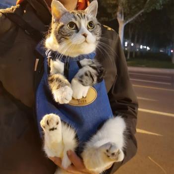 寵物外出便捷透氣胸前小型犬貓包
