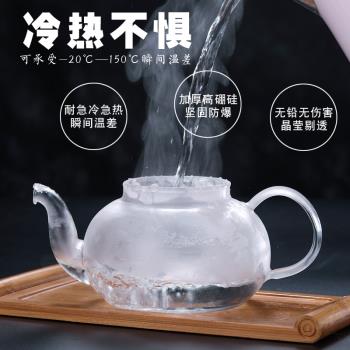 耐熱玻璃茶壺單壺家用不銹鋼過濾泡茶壺加厚小號水果花茶壺紅茶具