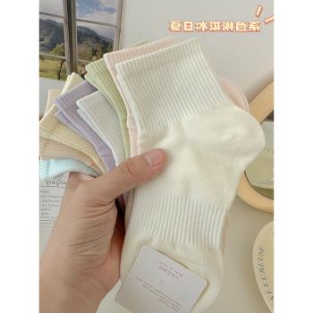 襪子女馬卡龍色薄款簡約運動襪子