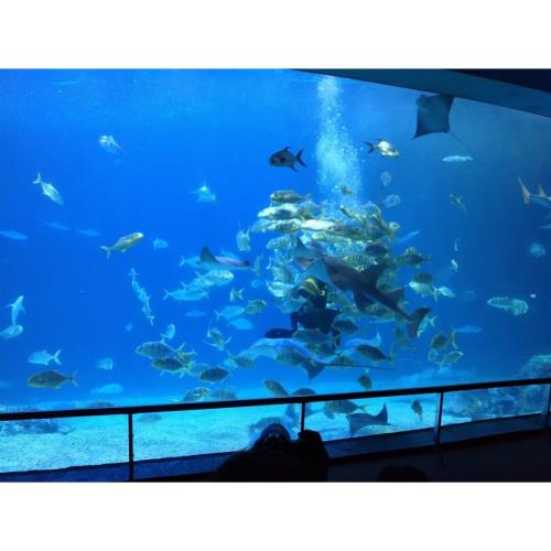 屏東旅遊｜暑假親子.旅展折$500｜動物溜滑梯.夜訪沙蟹生態.海生館海底世界.墾丁海景飯店二日｜台中出發_25XGPINSTP
