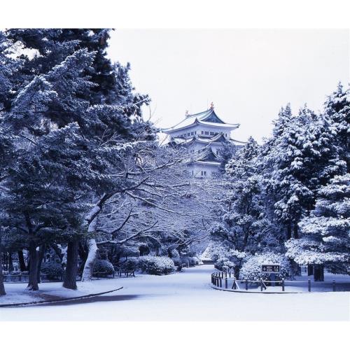 每月一物～限量優惠｜立山黑部雪牆x初夏繡球花季！保住名古屋萬怡～合掌村.兼六園.松本城.馬籠宿.熱田神宮.溫泉五日_SJP25NN008
