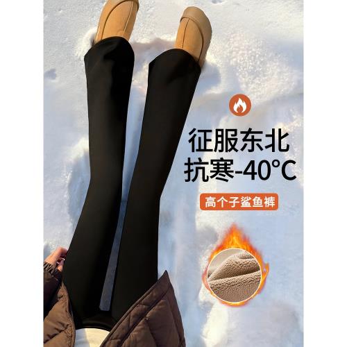 (免運)東北零下微喇叭鯊魚褲冬季加絨加厚女外穿高個子加長版保暖褲