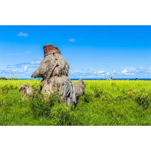 【花蓮旅遊．四人成行】赤柯山．金針花海．光復糖廠．吉蒸牧場一日-25TEHUACMF