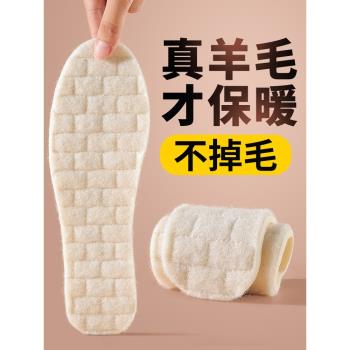 (免運)羊毛鞋墊女士秋冬加絨保暖加厚乳膠軟底舒適棉鞋墊男款冬季羊毛氈
