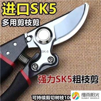 德國進口強力加厚鋼果樹修枝剪粗枝剪刀園林園藝修花剪家用神器