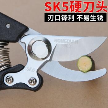 剪枝大剪刀園林花剪強力修果樹剪樹支園藝刀剪修剪花卉撿樹枝箭刀