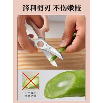 張小泉修花剪刀園藝花藝剪鮮花插花家用剪花草花枝花店專用工具