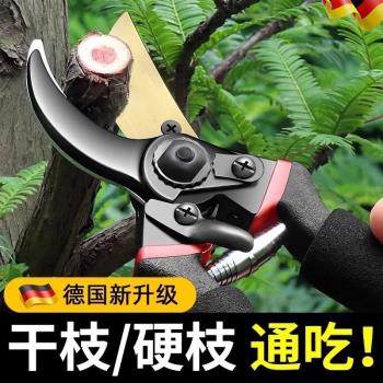 德國精工修剪樹枝剪刀電動修枝剪家專用剪刀鮮花剪園藝林果樹工具