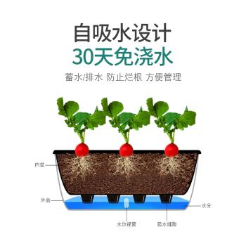 自動種植箱家庭陽臺塑膠綠蘿花盆