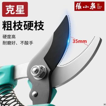 張小泉修枝剪園藝園林花枝剪刀家用樹枝果樹專用剪枝省力剪刀花藝