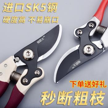 省力果樹枝剪修枝剪刀粗枝剪樹剪子剪枝剪刀修花枝剪家用園藝工具