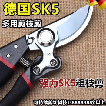 德國精工剪樹枝專用剪刀園藝果樹修枝剪sk5粗枝修花省力剪子園林