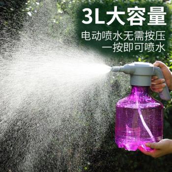 手動氣壓式澆花噴壺園藝養花澆水壺家用清潔消毒噴水壺超細霧灑水