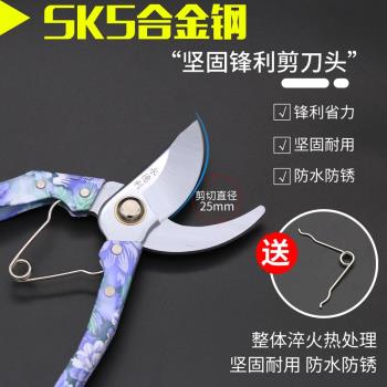 永德利剪刀修枝剪果樹枝園藝剪花卉強力樹剪子園林綠植專用家用剪
