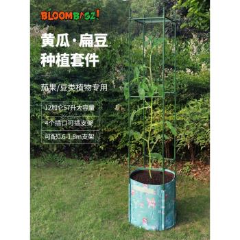 可調節爬藤種菜專用箱盆種植袋黃瓜葡萄月季花架花盆支撐桿爬藤架