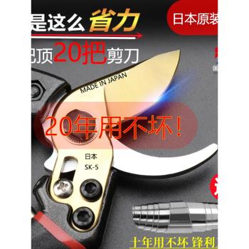 新款修枝剪強力SK5園林果樹花藝剪園藝大號粗枝剪刀