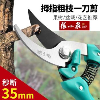 張小泉修枝剪刀園藝修剪樹枝園林花藝師剪花專用盆景剪枝果樹剪刀