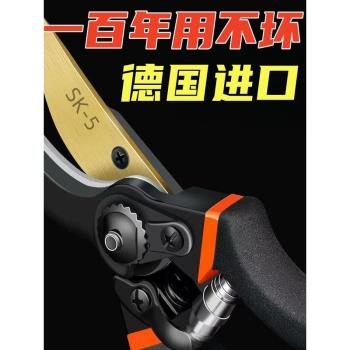德國品質sk5果樹修枝剪刀粗枝花藝剪園林園藝修花樹枝剪家用神器