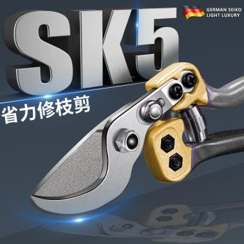 德國精工sk5強力樹枝專用剪刀省力修枝剪粗枝花家用園藝剪果樹剪