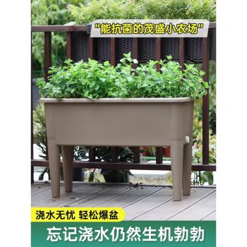 新款高腳長方形樓頂蔬菜種植箱