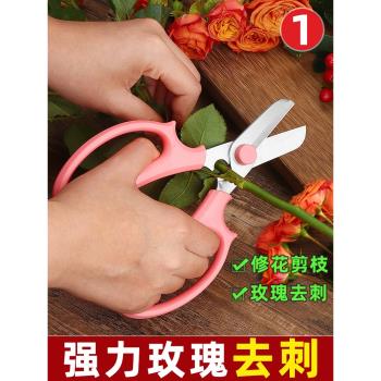 花藝剪刀鮮花修剪花卉花剪園藝不銹鋼修花插花花店專用打刺修枝剪