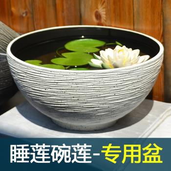 塑膠北歐白色銅錢草水培碗蓮盆