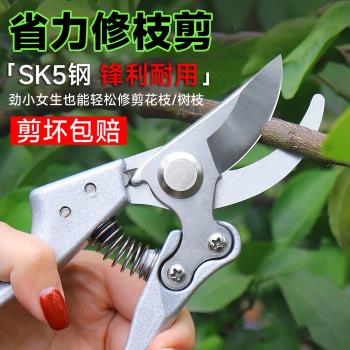 樹枝園藝剪刀修枝剪花藝剪刀摘水果神器鮮花剪樹枝剪刀強力修枝剪