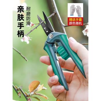 張小泉園藝剪枝剪刀修枝剪果樹園林花藝剪子工具修剪樹枝剪刀花剪
