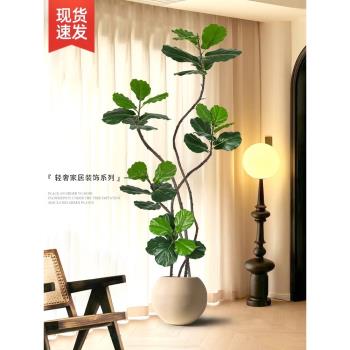 琴葉榕盆栽大型輕奢假樹仿真植物
