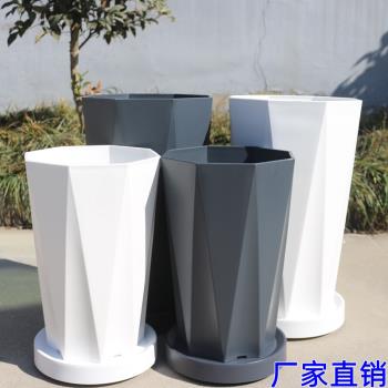 天堂鳥散尾葵塑膠辦公室大型花盆