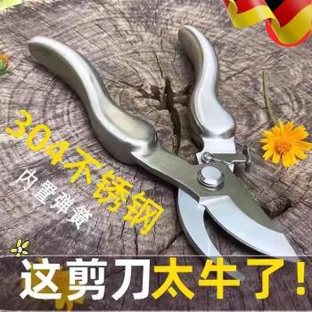 日本進口剪樹枝專用剪刀修枝剪不銹鋼園藝花草葡萄果樹摘果植物剪