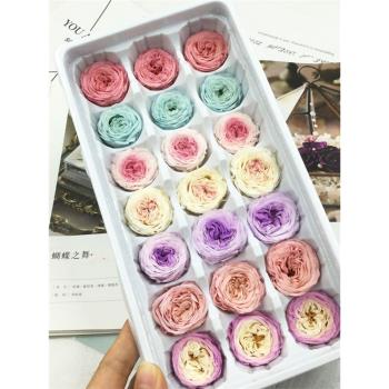 花掌櫃永生花A級2-3-4cm奧斯汀玫瑰diy材料包玻璃罩禮盒車掛鑰匙