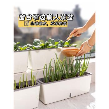 長條蔬菜種植窗臺懶人神器花盆