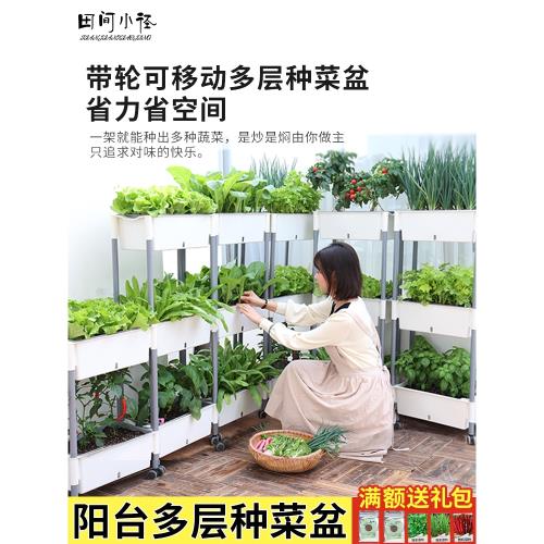 陽臺多層種菜盆自吸水懶人花盆家庭蔬菜種植盆頂樓長方形塑料花盆