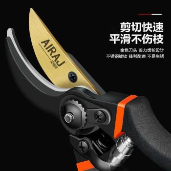 德國精工剪樹枝專用剪刀修枝剪刀粗枝果樹修花剪家用園藝剪刀省力