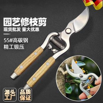 不銹鋼樹枝修枝剪採摘水果花木剪園林果樹花卉枝嫁接園藝剪刀工具