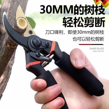 藝園剪花專用剪刀修剪樹枝專用粗枝果樹家用省力sk5園林採摘水果