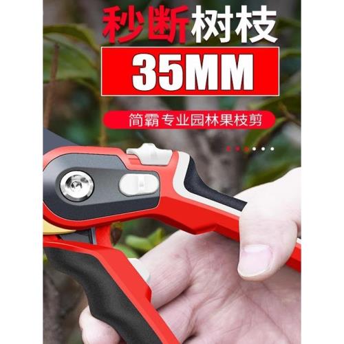果樹剪枝專用剪刀樹枝專用果樹枝剪花藝剪枝修園藝剪刀修剪園林剪
