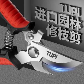 果樹剪刀修枝剪強力粗枝剪省力家用SK5鋼園林園藝摘果樹剪子專用